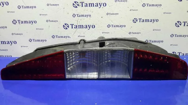 Piloto Trasero Derecho para Fiat Doblo Cargo (223)