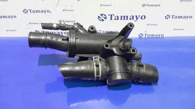 Termostato para Citroën C5 Berlina