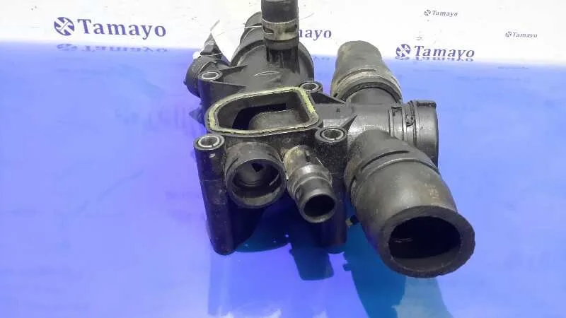 Termostato para Citroën C5 Berlina