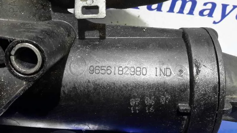 Termostato para Citroën C5 Berlina