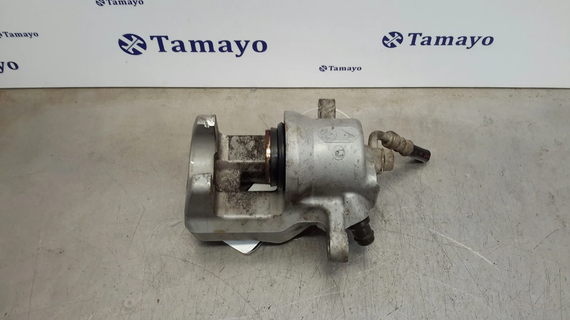 Pinza Freno Trasera Izquierda para Toyota Rav 4 (A3)