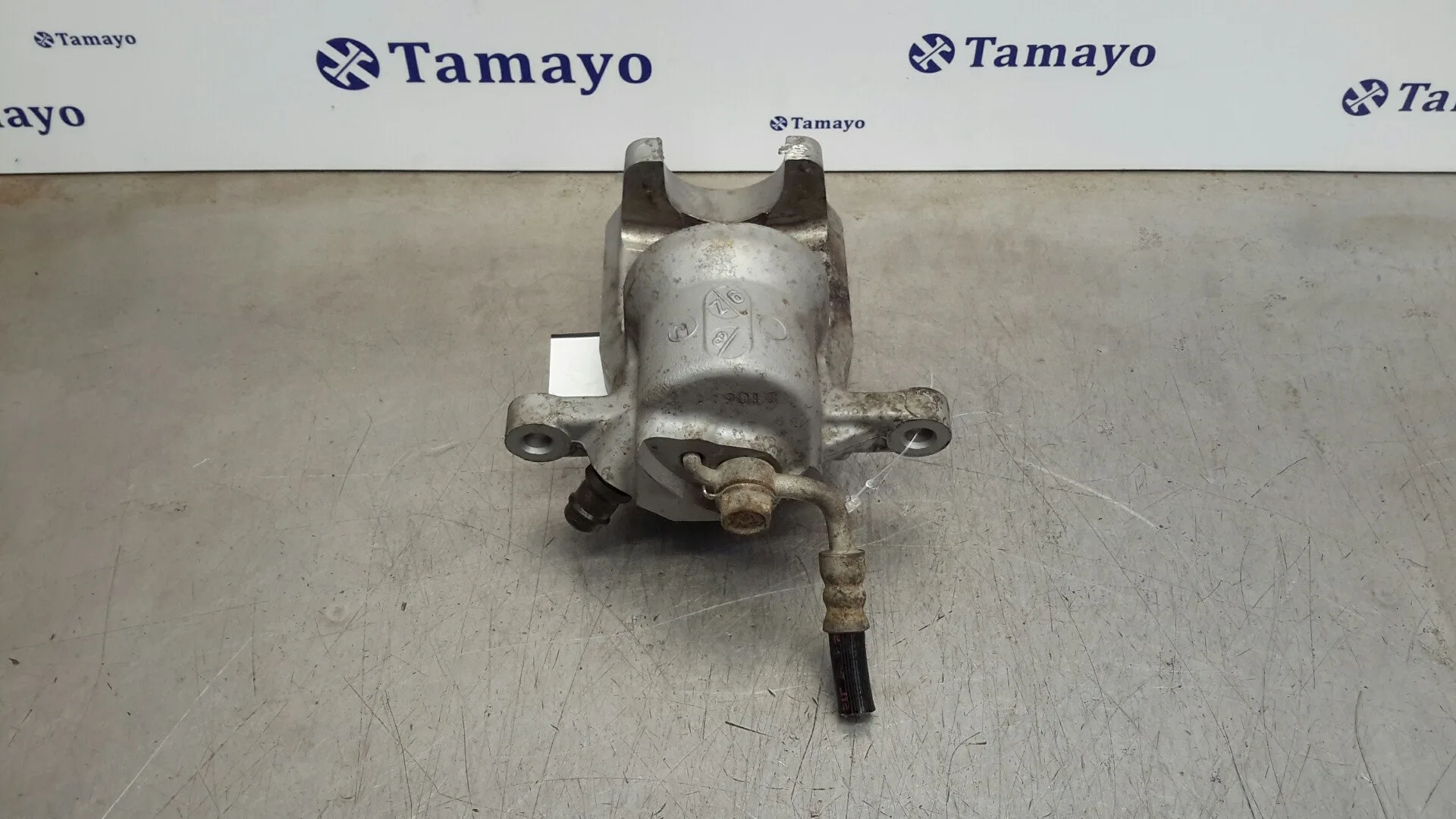 Pinza Freno Trasera Izquierda para Toyota Rav 4 (A3)