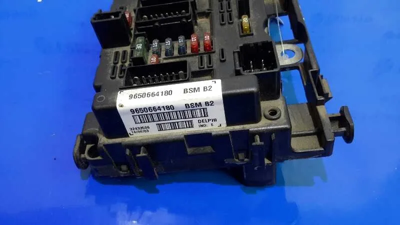 Caja Reles / Fusibles para Peugeot 307 (S1)