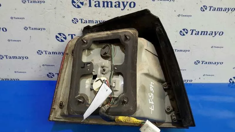 Piloto Trasero Derecho para Kia Carens