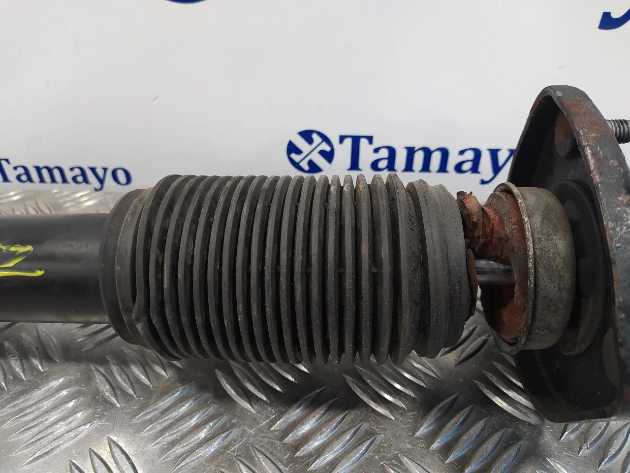 Amortiguador Trasero Derecho para Bmw X5 (E53)