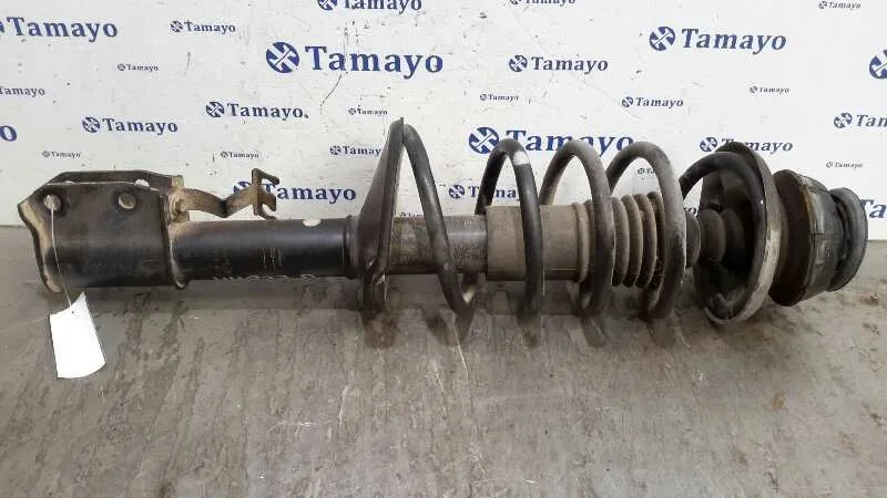 Amortiguador Delantero Derecho para Dacia Sandero