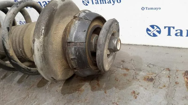 Amortiguador Delantero Derecho para Dacia Sandero