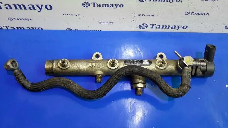 Rampa Inyectora para Audi A6 Avant (4F5)