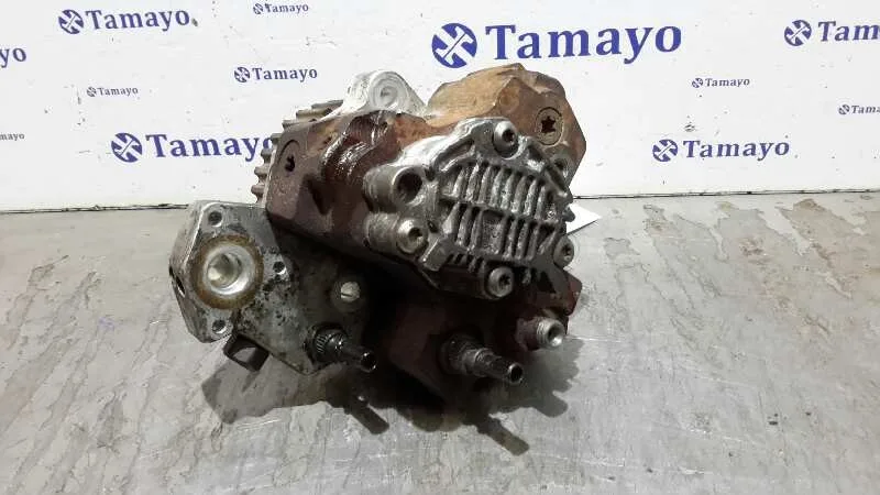 Bomba Inyeccion para Renault Scenic Ii