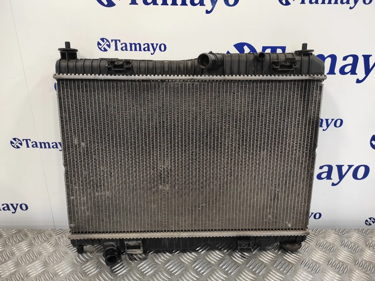 Radiador Agua para Ford Fiesta (Cb1)