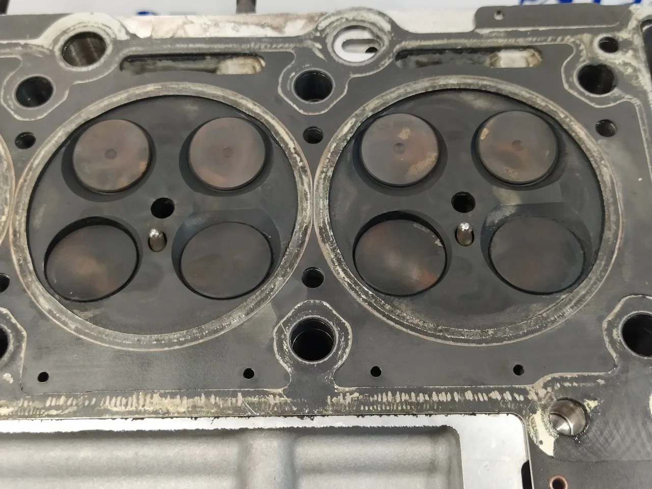 Culata para Mercedes-Benz Clase S (W220) Berlina