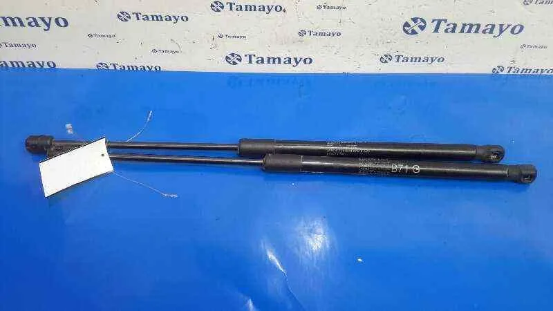 Amortiguadores Maletero / Porton para Citroën C4 Ii (Nc_)