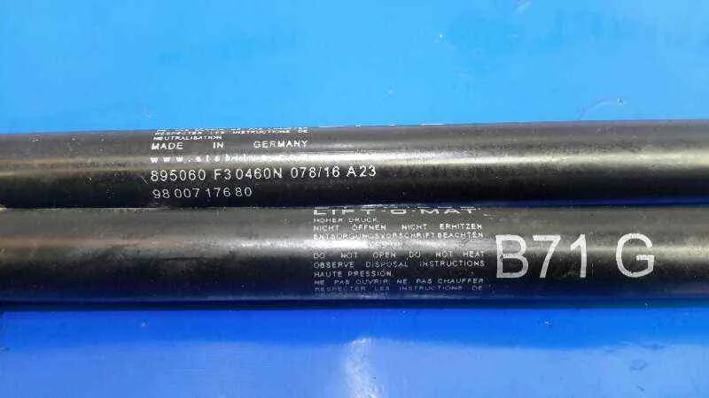 Amortiguadores Maletero / Porton para Citroën C4 Ii (Nc_)