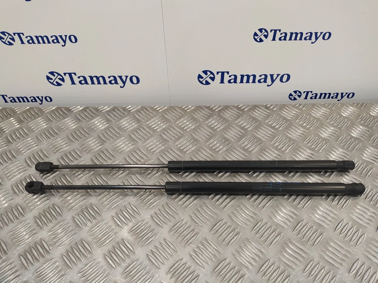Amortiguadores Maletero / Porton para Land Rover Freelander (Lr2)
