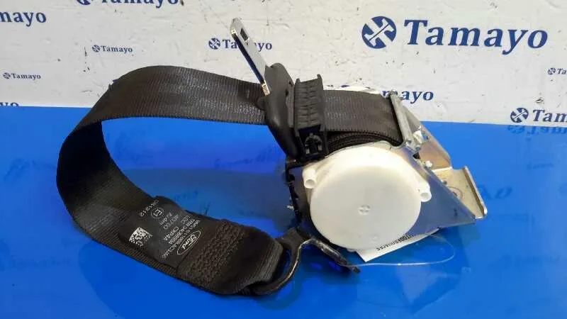 Cinturon Seguridad Trasero Izquierdo para Ford Focus Lim. (Cb8)