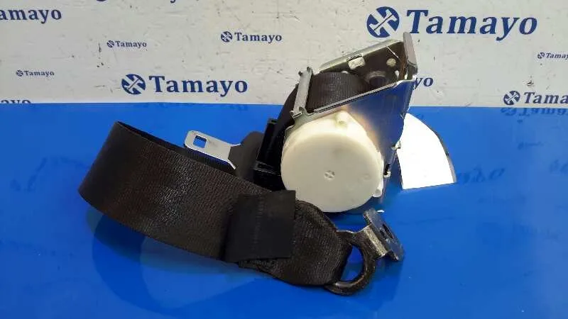 Cinturon Seguridad Trasero Derecho para Ford Focus Lim. (Cb8)