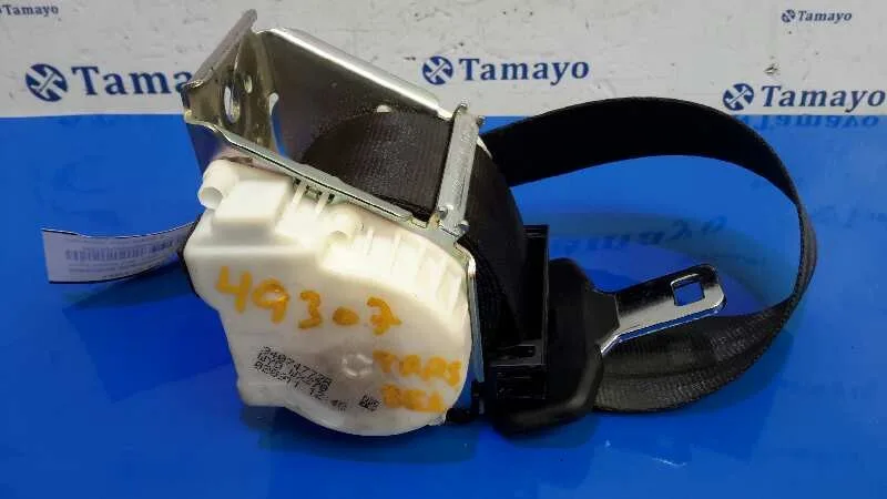 Cinturon Seguridad Trasero Derecho para Ford Focus Lim. (Cb8)