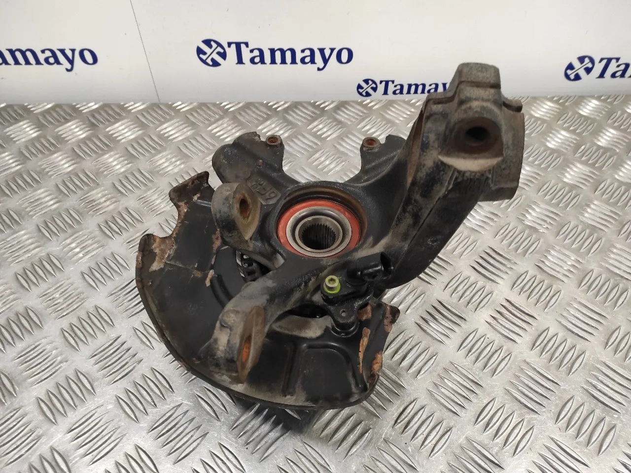 Mangueta Delantera Derecha para Seat Leon (1M1)