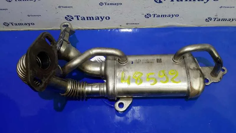 Enfriador Egr para Nissan Nv 200 (M20)