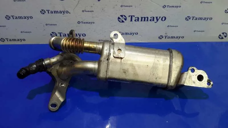 Enfriador Egr para Nissan Nv 200 (M20)