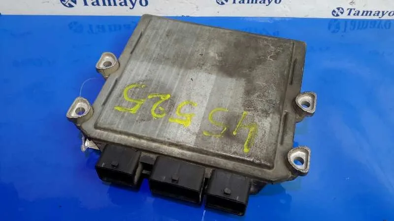 Centralita Motor Uce para Ford Fiesta (Cbk)