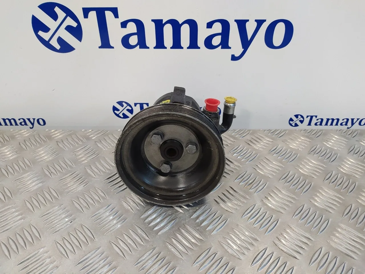 Bomba Direccion para Fiat Doblo (119)