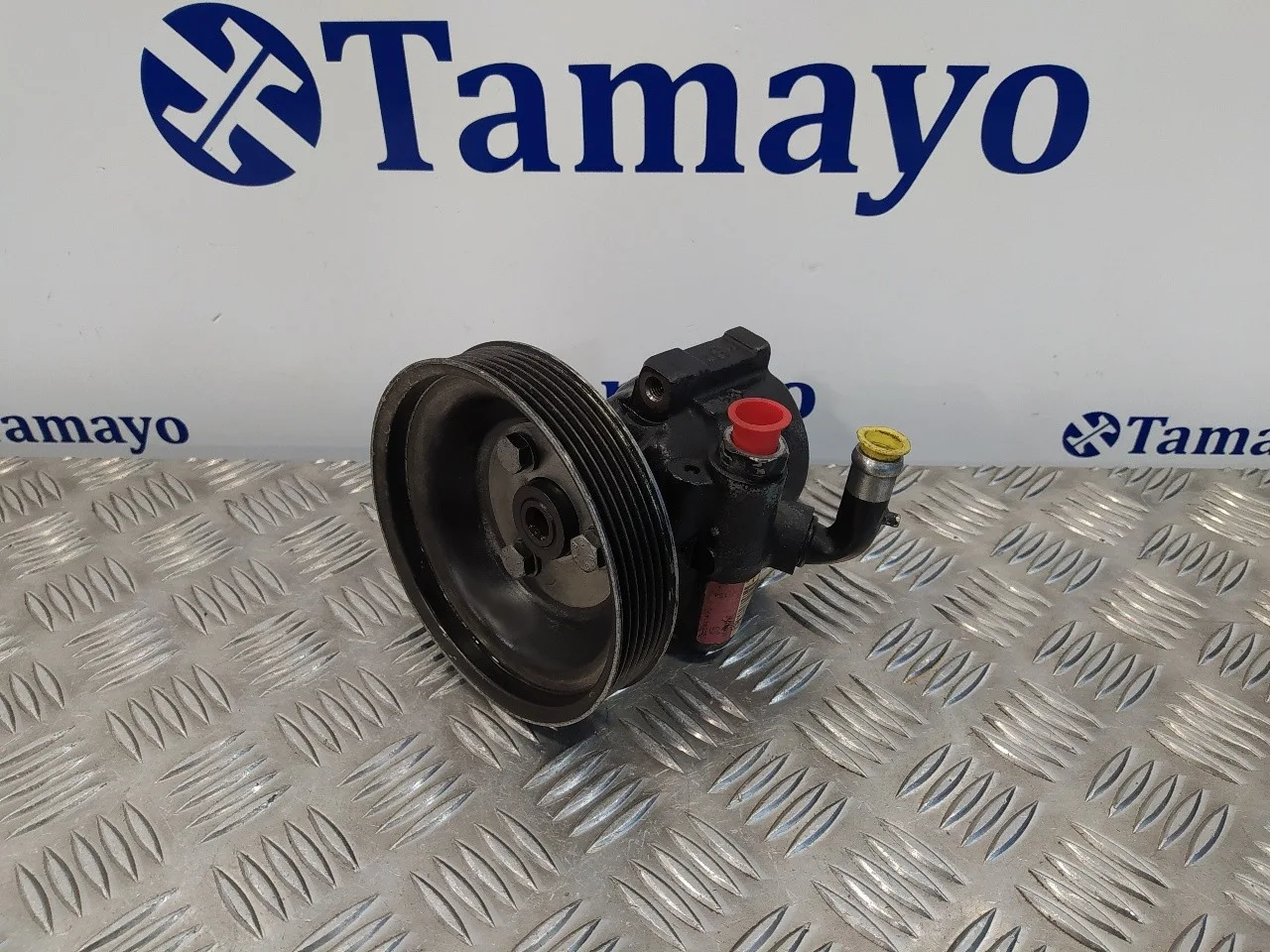 Bomba Direccion para Fiat Doblo (119)