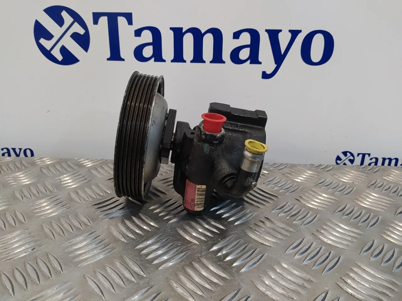 Bomba Direccion para Fiat Doblo (119)