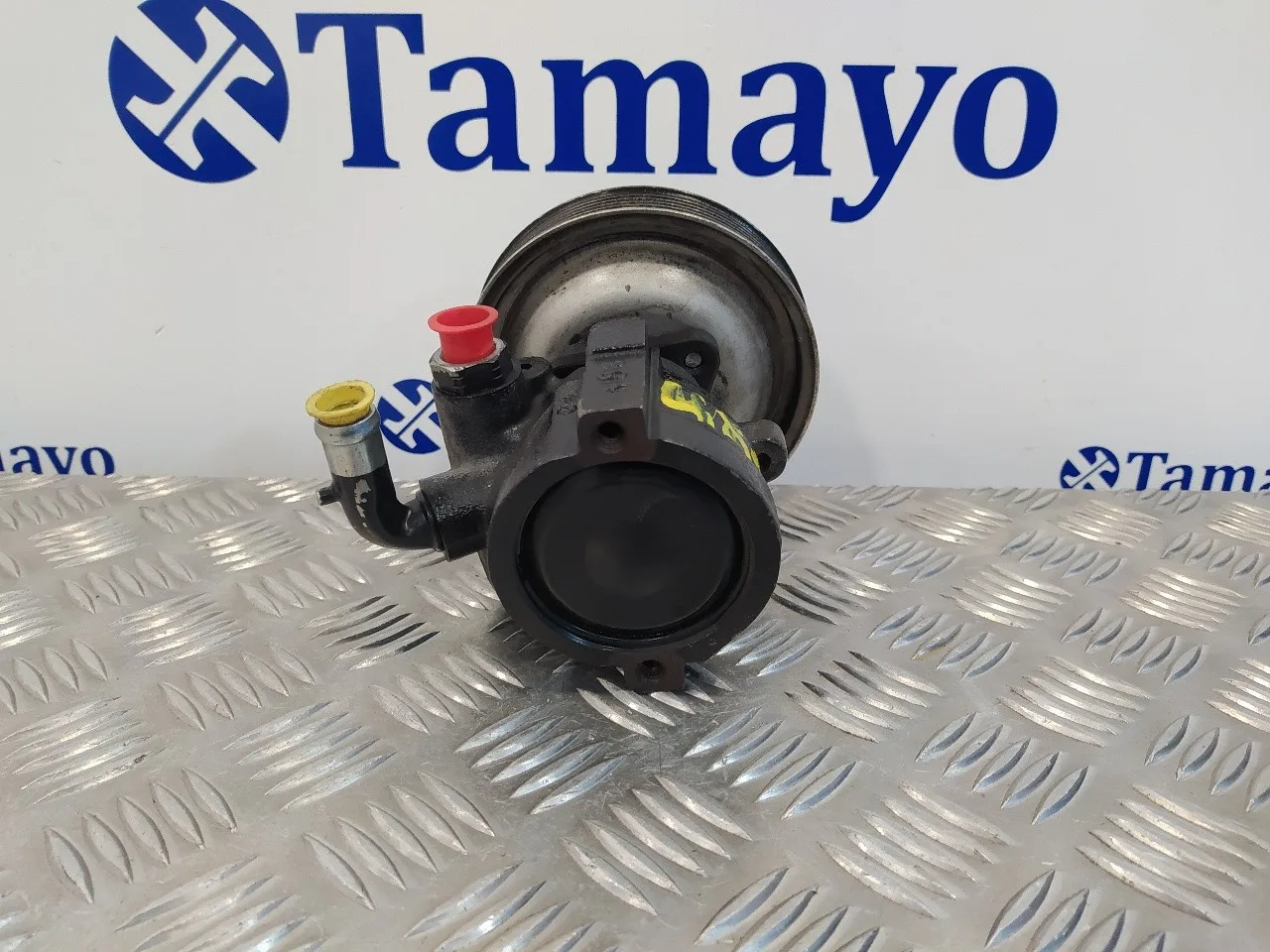 Bomba Direccion para Fiat Doblo (119)