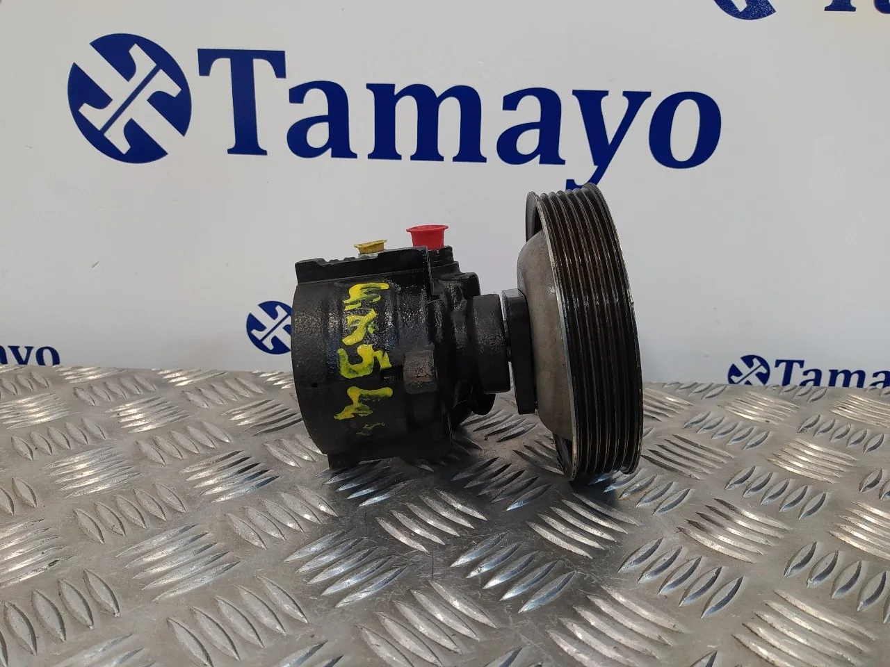 Bomba Direccion para Fiat Doblo (119)