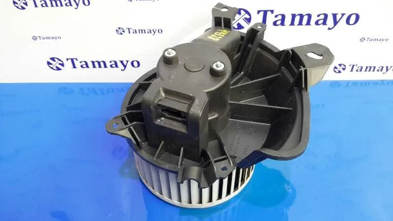 Motor Calefaccion para Citroën Nemo
