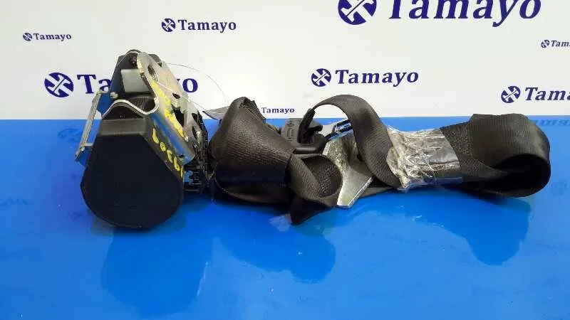 Cinturon Seguridad Trasero Derecho para Seat Leon (1P1)