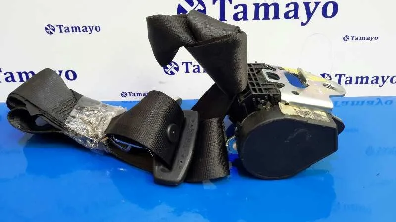 Cinturon Seguridad Trasero Derecho para Seat Leon (1P1)