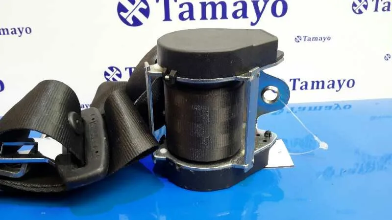 Cinturon Seguridad Trasero Derecho para Seat Leon (1P1)