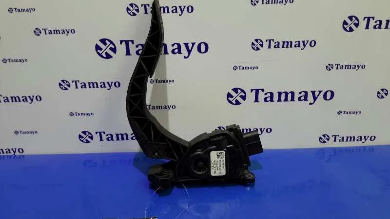 Pedal Acelerador para Audi A6 Allroad Quattro (4Fh)
