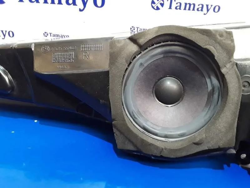 Altavoz para Bmw Serie 5 Berlina (E39)