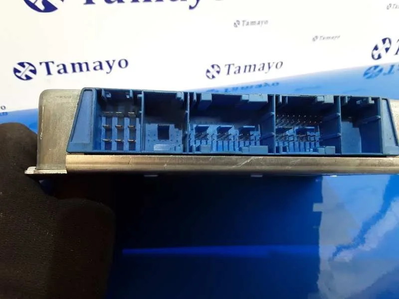 Centralita Cambio Automatico para Bmw Serie 5 Berlina (E39)