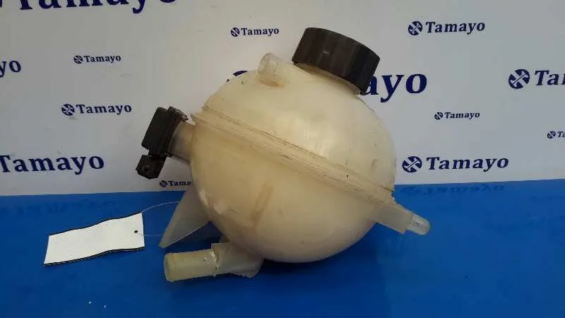 Deposito Expansion para Peugeot 307 Cc (S1)