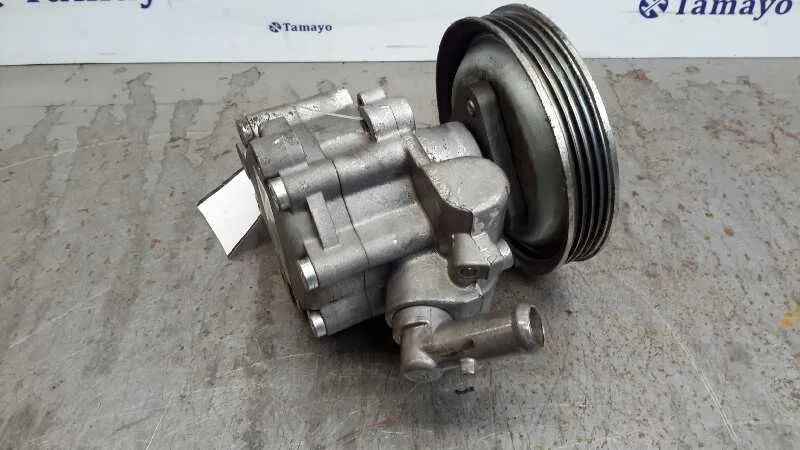 Bomba Servodireccion para Fiat Doblo (119)