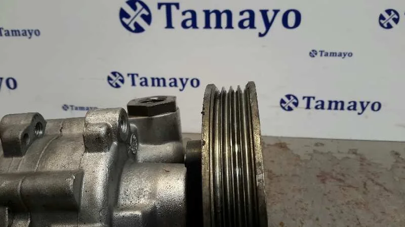 Bomba Servodireccion para Fiat Doblo (119)