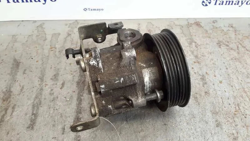 Bomba Direccion para Peugeot 407 Coupe