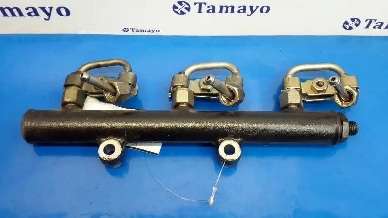 Rampa Inyectora para Peugeot 407 Coupe