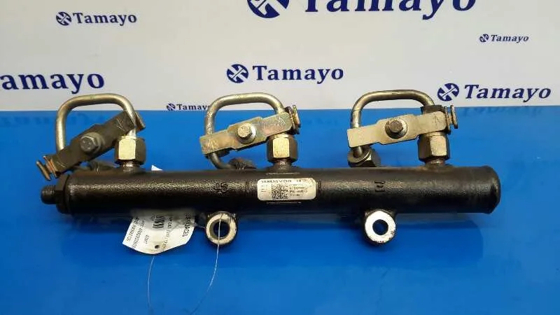 Rampa Inyectora para Peugeot 407 Coupe