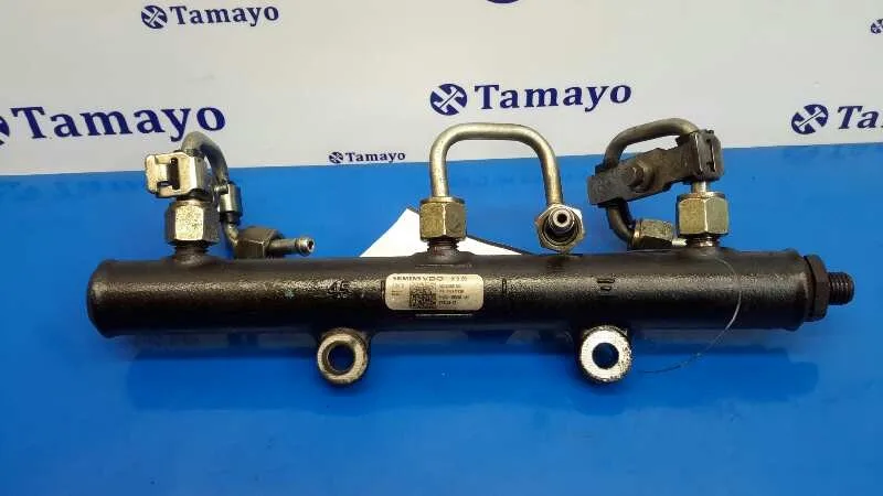 Rampa Inyectora para Peugeot 407 Coupe