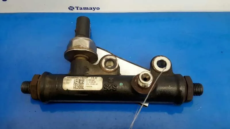 Rampa Inyectora para Peugeot 407 Coupe