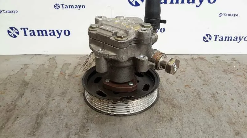 Bomba Servodireccion para Seat Leon (1M1)