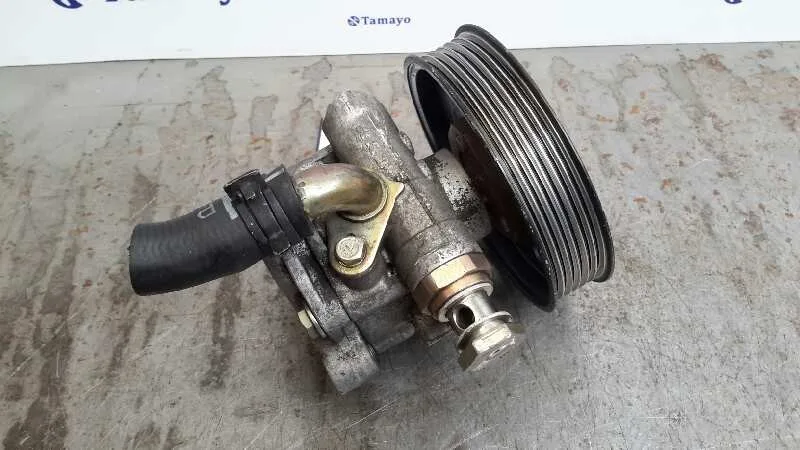 Bomba Servodireccion para Seat Leon (1M1)