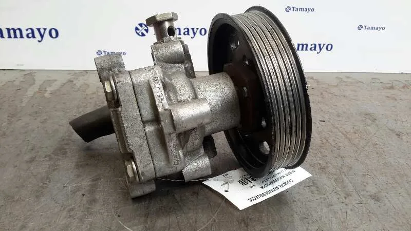 Bomba Servodireccion para Seat Leon (1M1)
