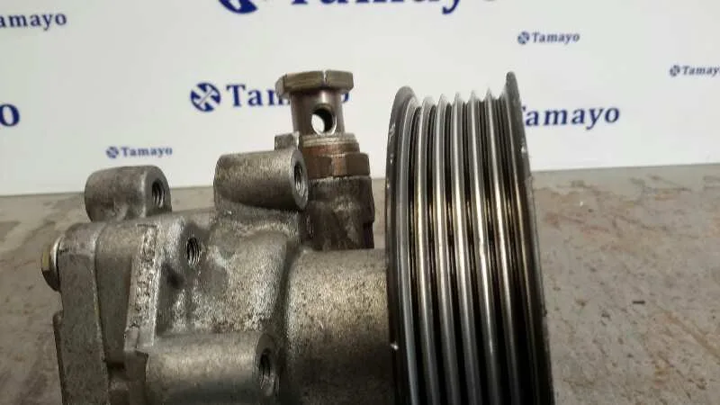 Bomba Servodireccion para Seat Leon (1M1)