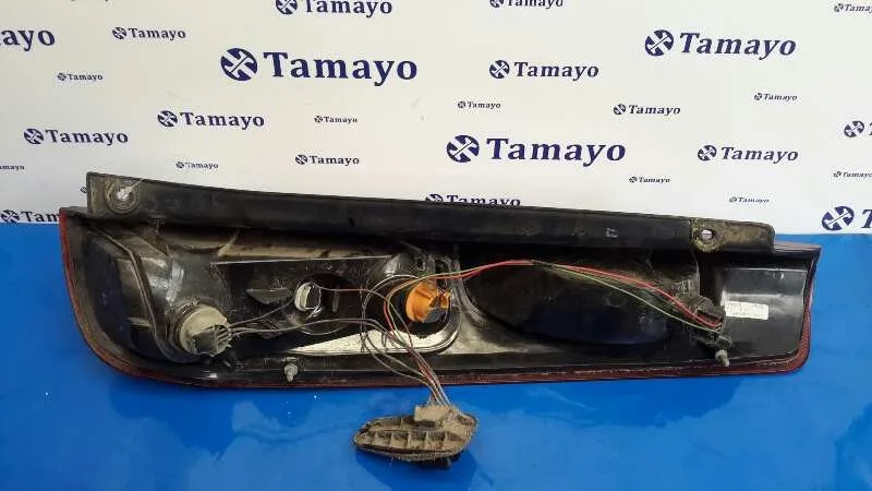 Piloto Trasero Izquierdo para Ford Fiesta (Cbk)